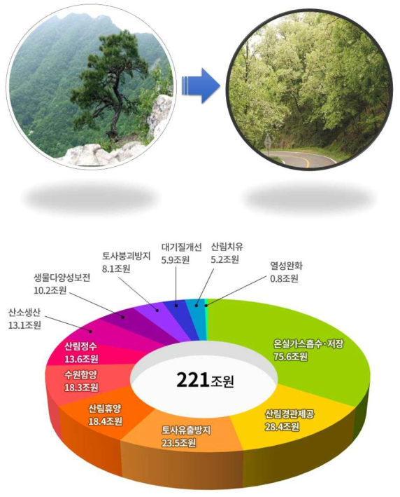 국내 연간 산림의 공익적 가치(산림청, 2018)