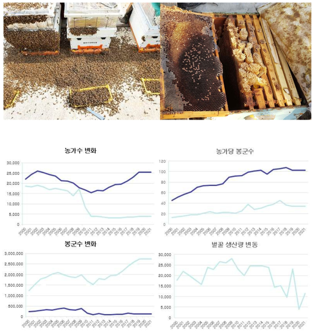 지난 20년간 국내 양봉산업 현황의 변화(농림부, 2021)