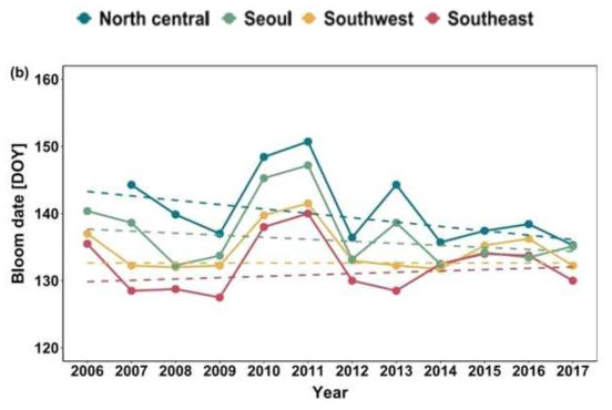 국내 아까시나무의 만개기 변화 패턴(Kim et al., 2021)