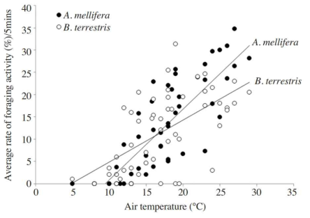 배과원에서 양봉꿀벌과 서양뒤영벌의 온도에 따른 활동 빈도(Lee et al., 2016)