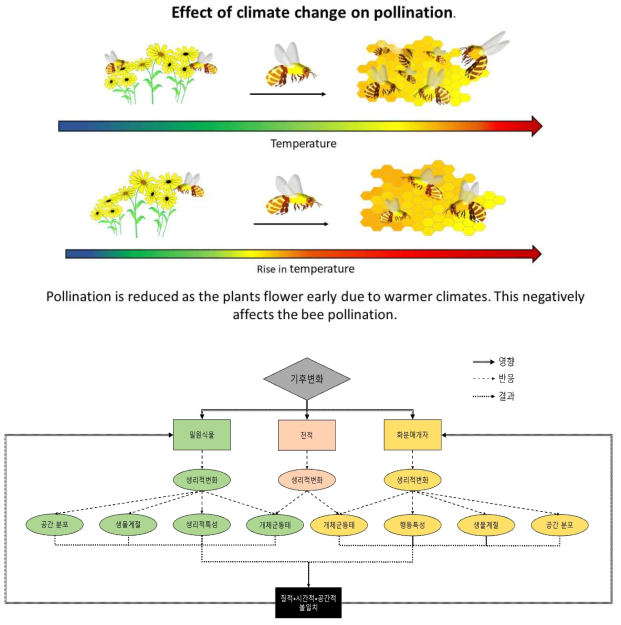 기후변화에 따른 식물, 천적, 화분매개자의 영향과 이로 인한 식물-화분매개자 네트워크 약화 시나리오