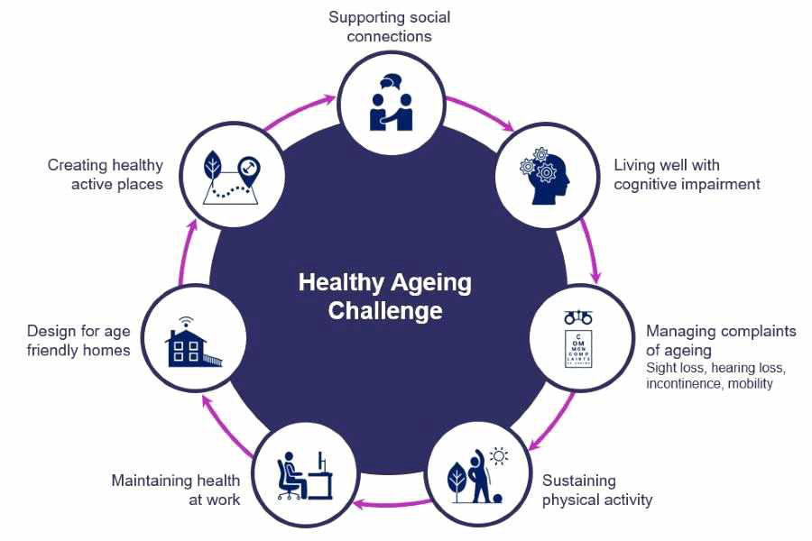 건강한 노화 챌린지 기금의 7개 테마 출처: UKRI, Healthy ageing challenge [Website] (2022, Sep 28),. https://www.ukri.org/what-we-offer/our-main-funds/industrial-strategy-challenge-fund/ag eing-society/healthy-ageing-challenge/