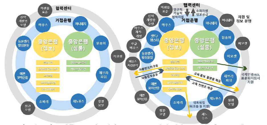 모델동물 클러스터의 Hub-Spoke 체계도(좌: 2022년, 후: 2026년) 출처 : 3차 추가자료