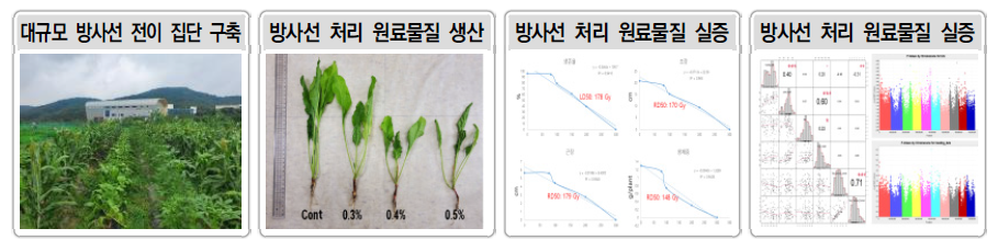 방사선 분해성 원료물질 생산 및 실증