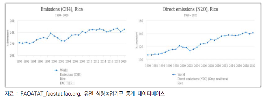 전 세계 쌀 생산에 따른 온실가스 배출량