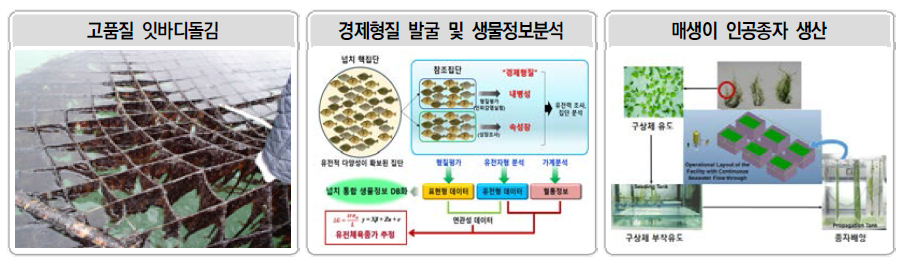 스마트 양식 기술 개발 관련 연구 추진