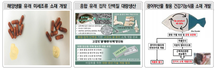 해양바이오 기술개발 및 상용화 관련 연구 추진