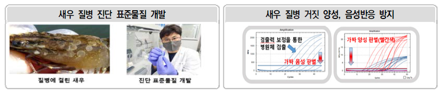 수산질병 관련 연구 추진