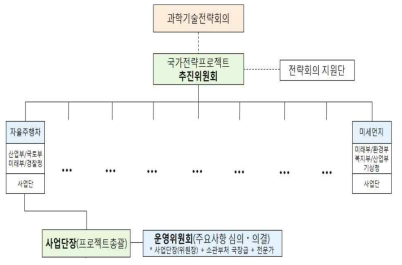 국가전략프로젝트 추진체계