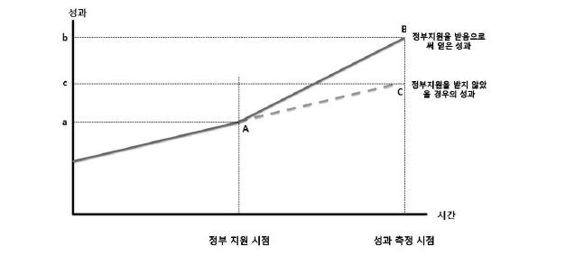 정부지원에 따른 중소･중견기업의 성과 측정