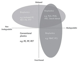 생분해성과 원료 유래에 따른 바이오 플라스틱의 분류 출처 : 강길선, “생분해성 플라스틱의 연구개발 현황 및 시장 동향”, 2021.3