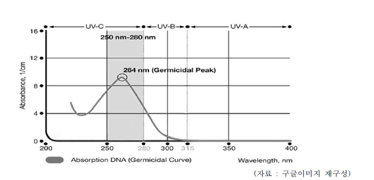 DNA 최대 흡수 파장(살균 곡선)