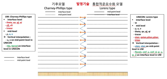 Charney-Phillips 형태를 사용하는 기후예측모델의 연직좌표를 Lorenz 형태를 사용하는 UNICON의 연직좌표로 변화하는 모식도