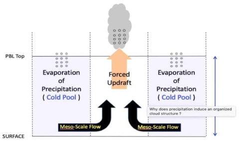 강수의 증발에 의해 냉기풀이 발생하고 냉기풀의 이류에 의해 경계층 내에 중규모 흐름 (meso-scale flow)이 발생하는 모식도