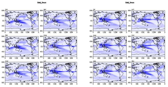 BoM모델의 전지구 당월 월별 강수 예측