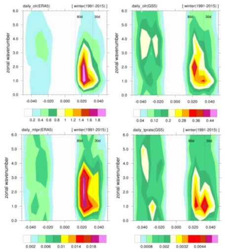 ERA5(left)와 GS5(right)의 20-70일 필터를 적용한 10°S-10°N 평균 OLR(upper)과 강수량(lower)에 대한 겨울철 wavenumber-frequency spectra 분석 단위는 각각 W2/m4, mm2/day2