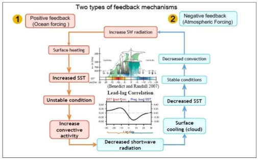 Schematic diagram of positive (red) and negative (blue) feedback mechanisms between atmosphere and ocean