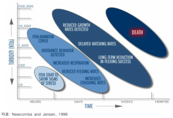 탁수 농도와 지속시간에 따른 물고기 영향