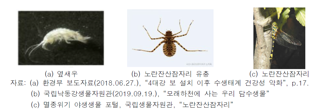 저서성 대형무척추동물 예시