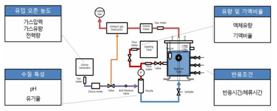 오존 마이크로버블 시스템 제거성능 최적화를 위한 운영인자 변화 (예시)