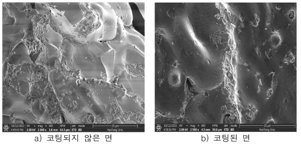 코팅 및 비코팅 면의 세라믹 막 분석 결과