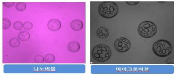 나노 및 마이크로버블 측정결과 및 현황