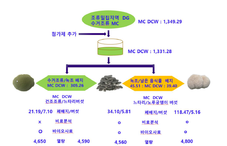 수거녹조 및 녹조/남은 음식물 버섯배지 농업재료 분석 개요