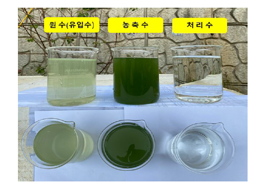 GL저수지 조류포집 실험장치 처리수질 비교