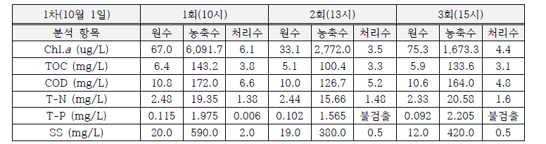 지속 운영 효과 분석 1차