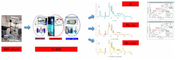 XAD 레진을 이용한 극성 분리 장치와 LC-OCD 장비 연계
