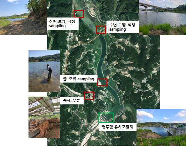 생분해 실험 기원 시료 채집 지역. 영주댐 상류 유사조절지 주변 육상 및 하천 시료 채집