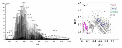 초고분해능 질량분석기 FT ICR-MS 스펙트럼 결과 예시 (Chen 외, 2016)