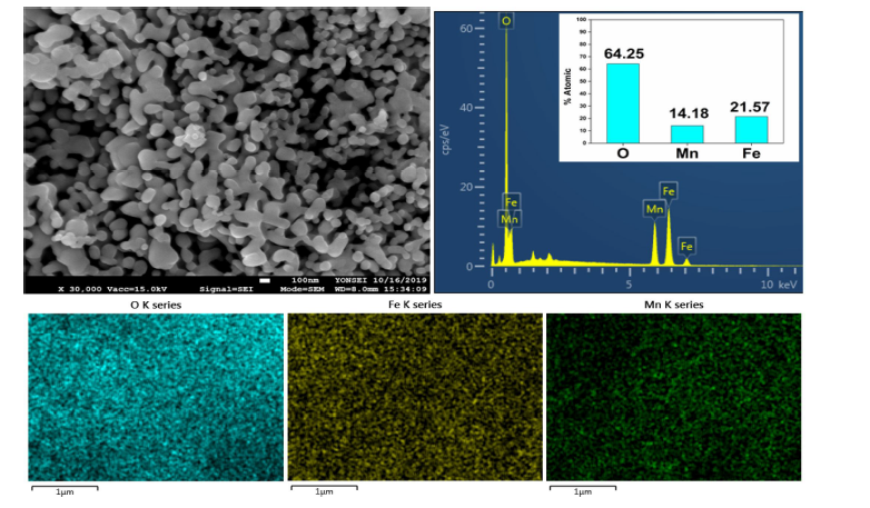 Nanoparticle Mn-Fe2O3 촉매 SEM 이미지 및 EDS 분석 결과