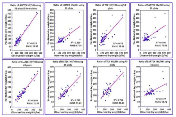 영상레이더 편파비(HV/HH)를 사용하여 예측된 바이오매스와 관측된 바이오매스 간의 상관관계, (Sarker et al. 2013)