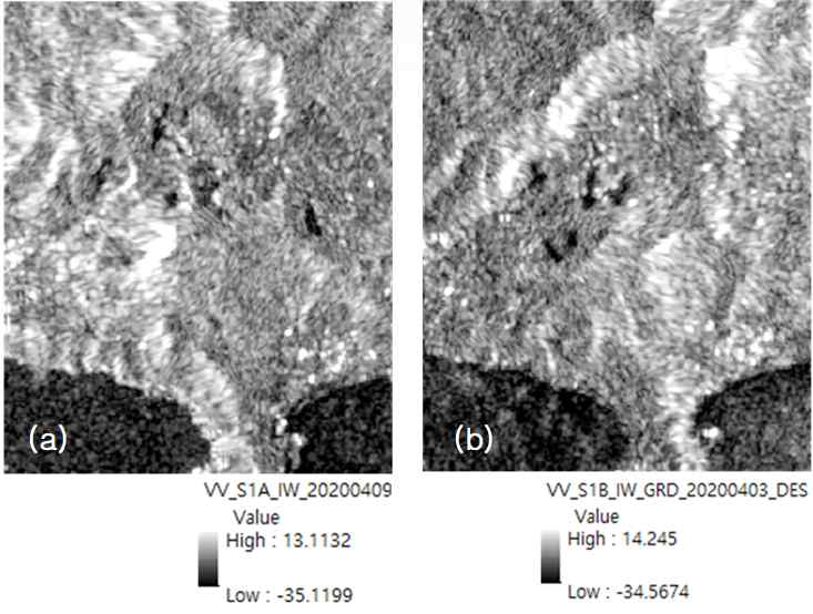 거금도 지역 Sentinel-1 GRD영상 (a) ascending 영상, (b) descending 영상