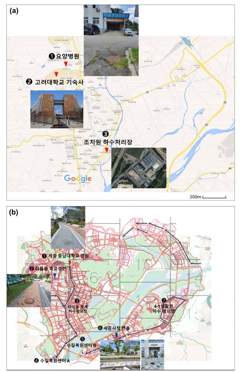 세종시 (a) 구도심, (b) 신도심 내 하수 샘플링 지역