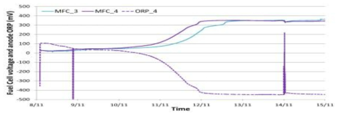 Evolution of the voltage produced by biofuel cells during the start-up phase