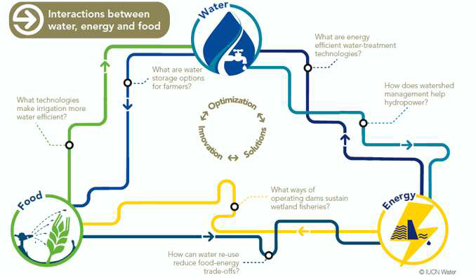 Water-Energy-Food Nexus