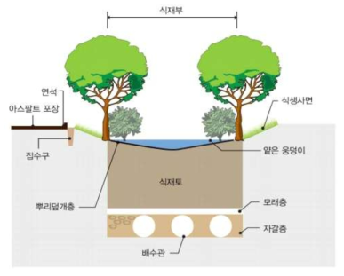 식생체류지 구조도, 비점오염저감시설기술보고서(2015)