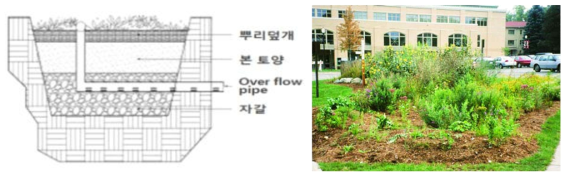 빗물정원 및 설치 예