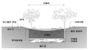 식생체류지