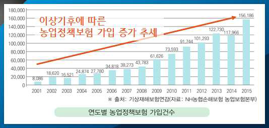 연도별 농업정책보험 가입 건수