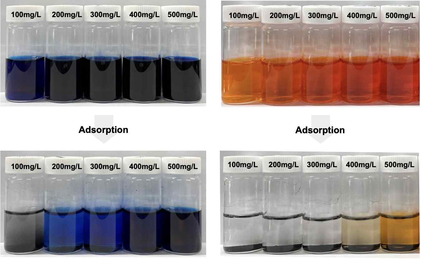활성탄의 염료 흡착 전후 형상 비교