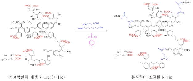 가교제를 사용한 N-lig의 카르복실기 조절 반응 모식도