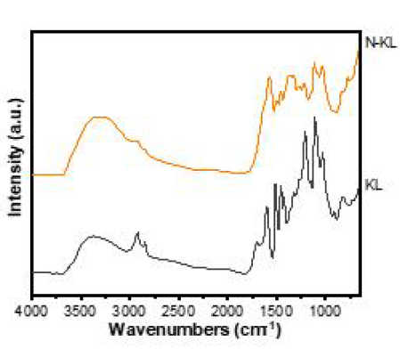 KL과 N-KL의 FTIR 스펙트럼