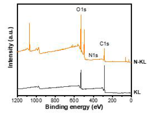 KL과 N-KL의 XPS 전체 스펙트럼
