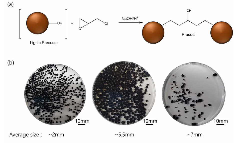 (a) 에피클로로하이드린 중합 방법을 이용한 리그닌 기반의 구형 입자 제조 모식도 (b) 에피클로로하이드린 중합 방법을 이용해서 제작한 리그닌 기반의 구형 입자의 이미지