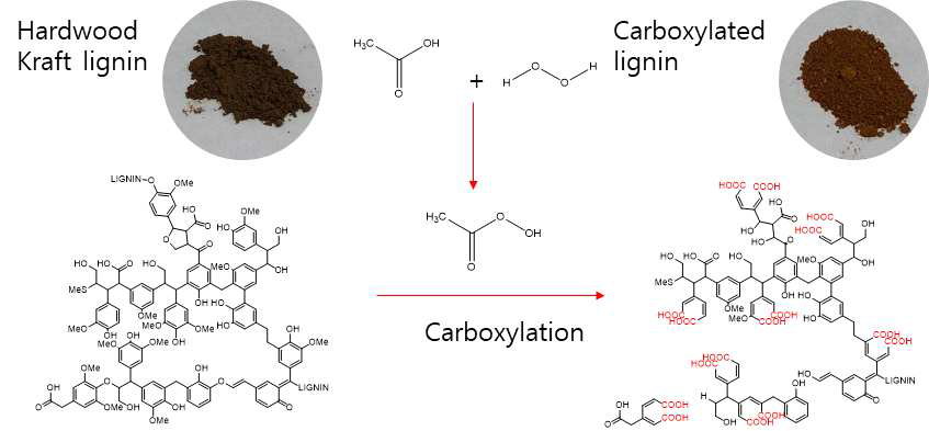 크라프트 리그닌의 카르복실화 반응 모식도