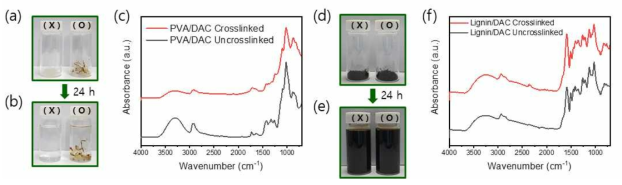 가교 및 비 가교 PVA/DAC 필름의 (a-b) 수분 안정성 평가 사진, (c) FT-IR 스펙트럼, 가교 및 비 가교 리그닌/DAC 분말의 (d-e) 수분 안정성 평가 사진, (f) FT-IR 스펙트럼