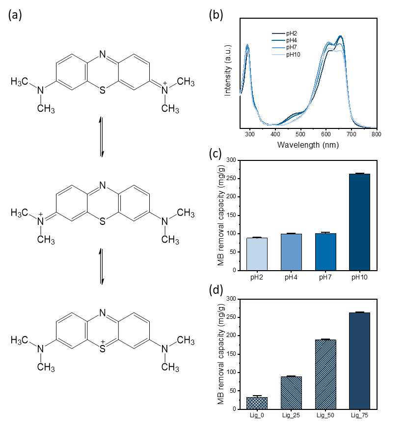 (a) MB 화학 구조, (b) 다양한 pH 조건에서 MB의 UV-Vis 흡광도 스펙트럼, (c) 다양한 pH 조건에서 Lig_75의 MB 제거 용량(흡착 시간 = 6 시간, 교반 속도 = 90 rpm, 온도 = 298 K, 흡착제 투여량 = 1 g/L), (d) 다양한 리그닌 비율을 갖는 리그닌/PVA 블렌드 섬유의 MO 염료 제거 용량 (pH 10, 흡착 시간 = 6 시간, 교반 속도 = 90 rpm, 온도 = 298 K, 흡착제 투여량 = 1 g/L)